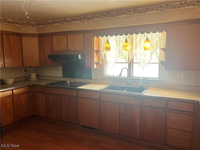 kitchen featuring sink, dark wood-type flooring, and black electric cooktop