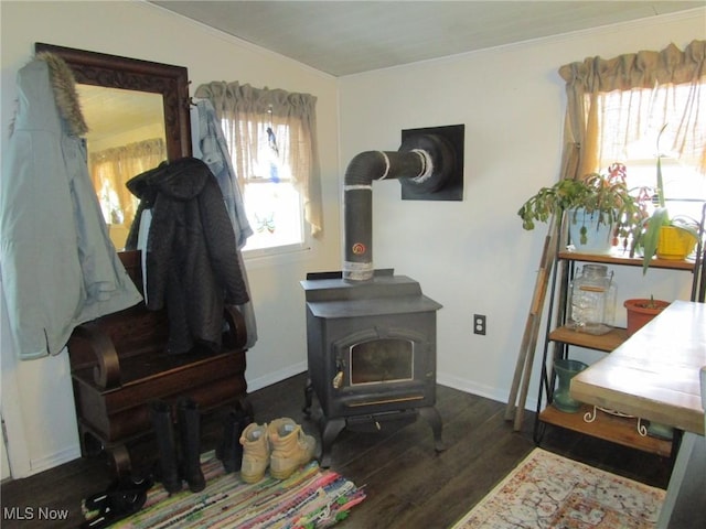 room details with hardwood / wood-style floors and a wood stove