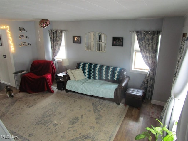 living room with wood-type flooring