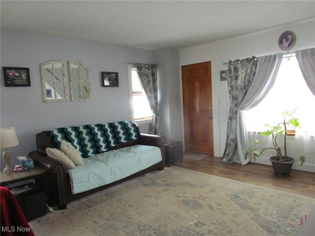 living room featuring a wealth of natural light and wood-type flooring