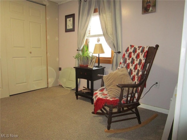 sitting room with carpet