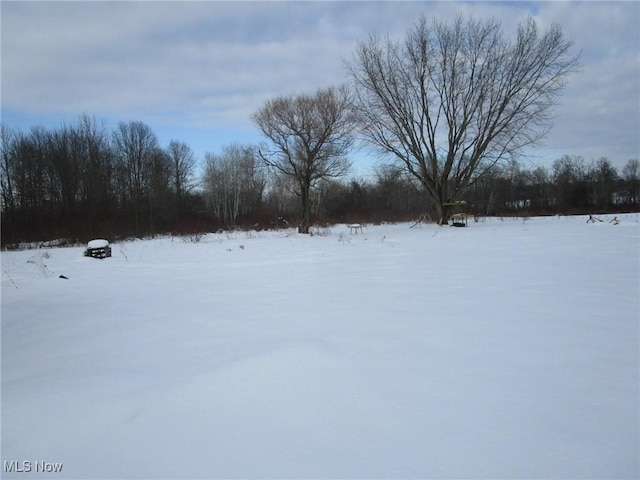 view of yard layered in snow