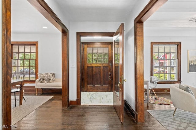 interior space featuring dark hardwood / wood-style flooring