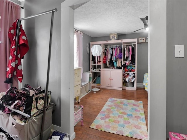 spacious closet with light hardwood / wood-style flooring