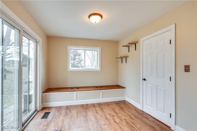 mudroom featuring light hardwood / wood-style flooring and a wealth of natural light