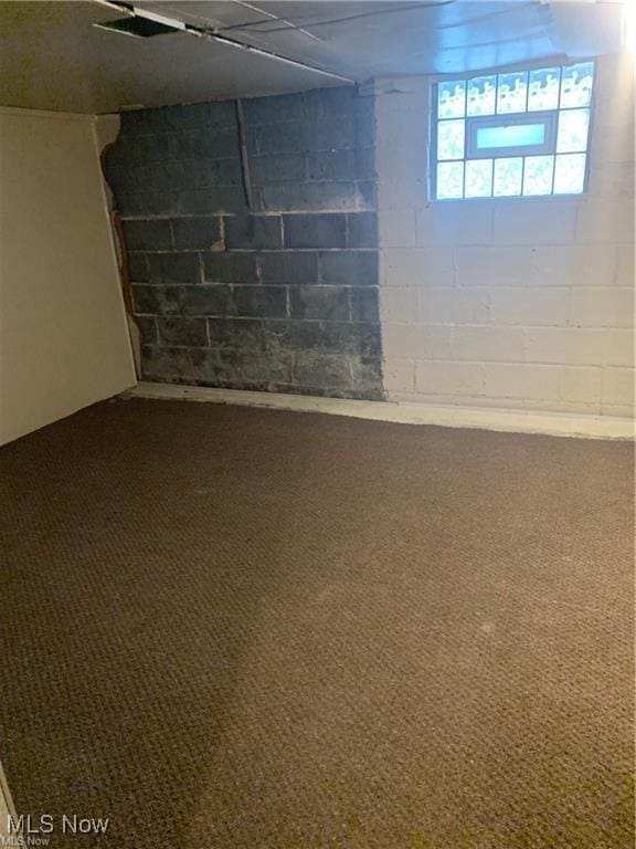 basement featuring carpet floors