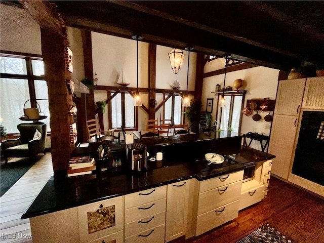 kitchen featuring hanging light fixtures, wood-type flooring, and plenty of natural light