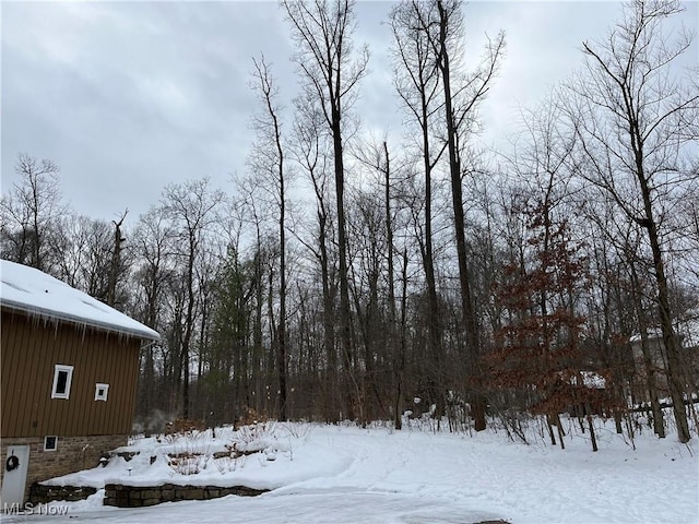 view of yard covered in snow