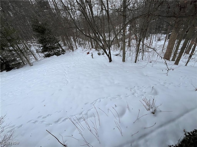 view of yard layered in snow