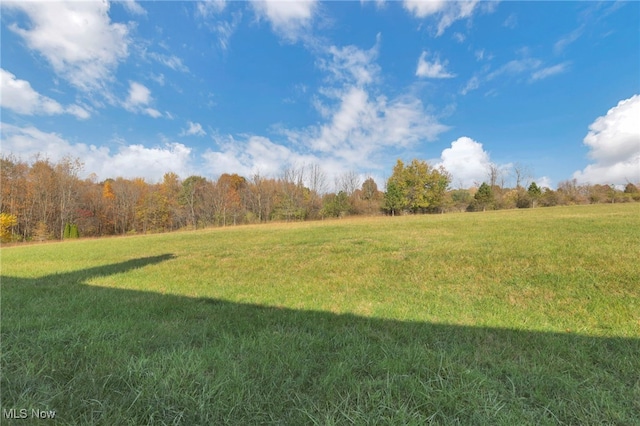 view of yard featuring a rural view