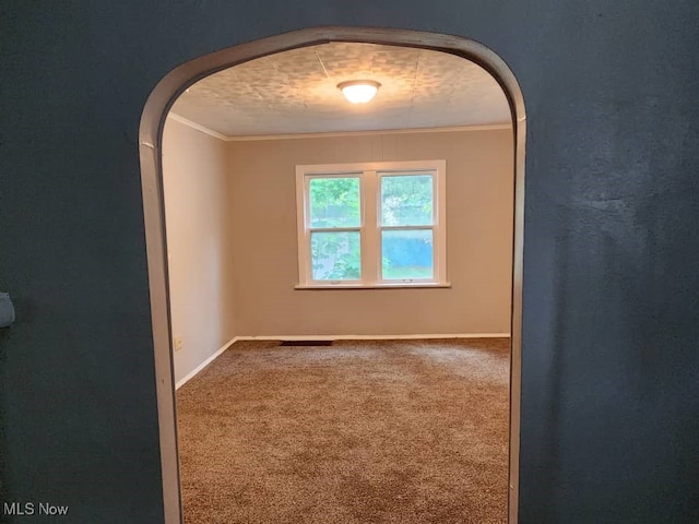 carpeted spare room featuring crown molding