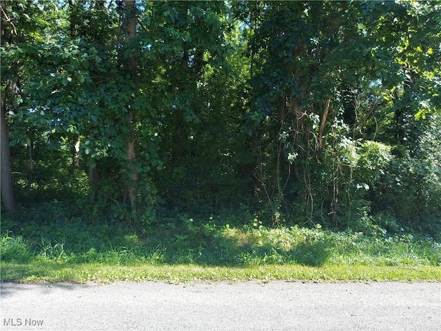 V/L Colopy St, Akron OH, 44319 land for sale