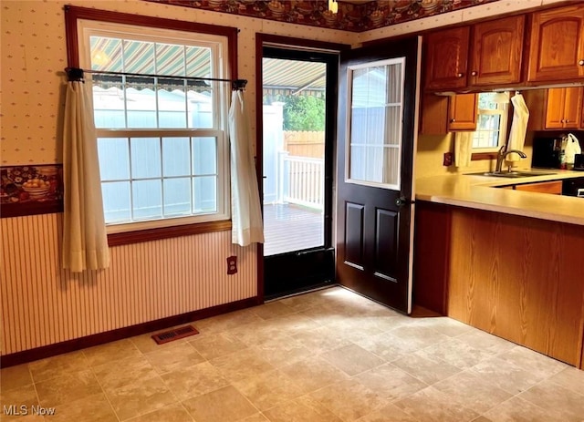 entryway with sink and a wealth of natural light