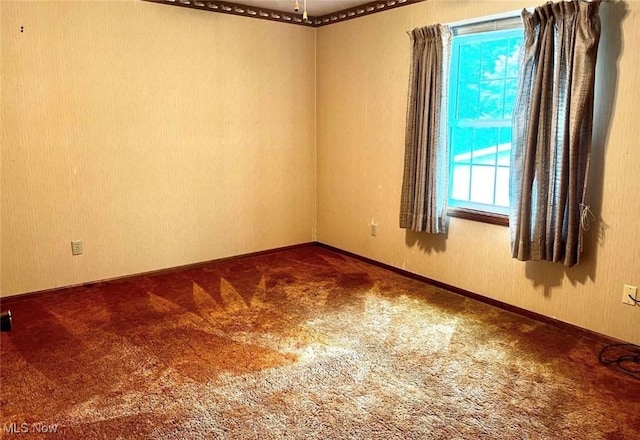 spare room with carpet