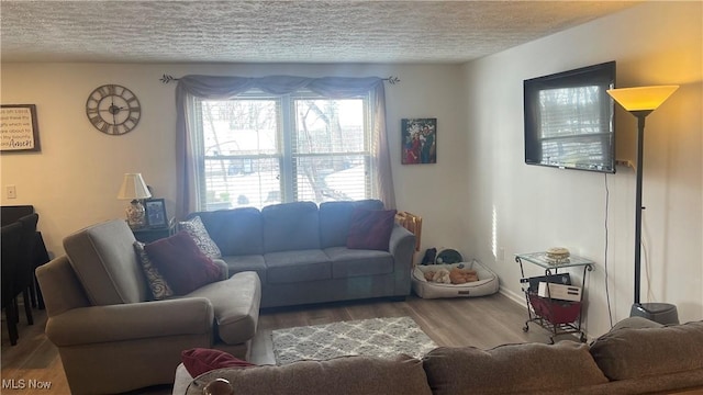 living room with wood-type flooring and a textured ceiling