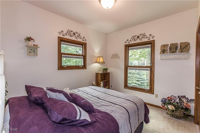 bedroom featuring carpet floors