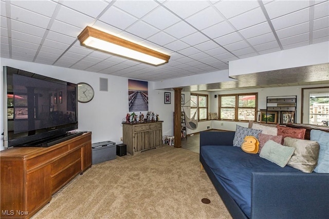 carpeted living room with a paneled ceiling