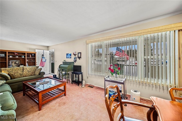 living room with carpet