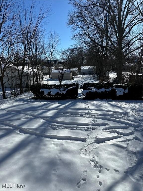 view of yard covered in snow