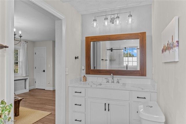 bathroom featuring wood-type flooring, vanity, and a textured ceiling