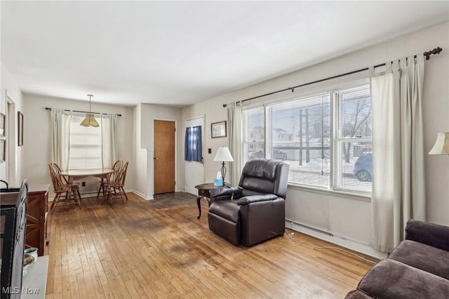 living room with hardwood / wood-style floors