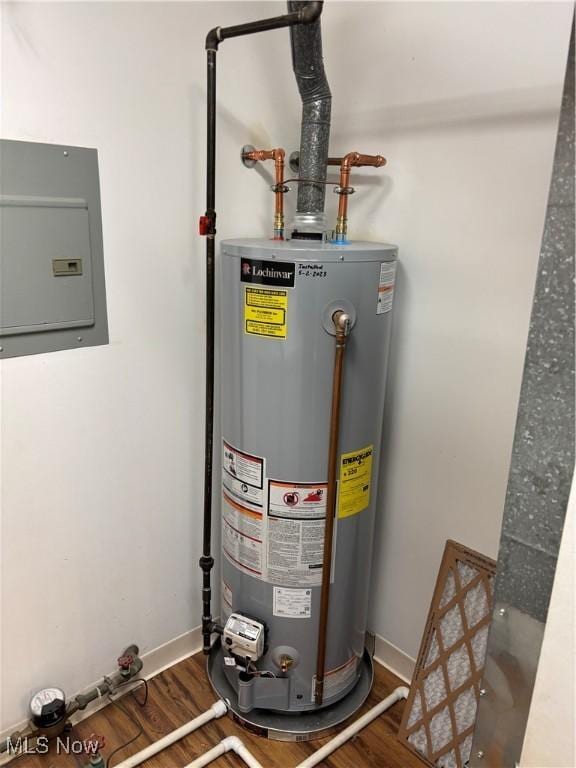 utility room featuring gas water heater and electric panel