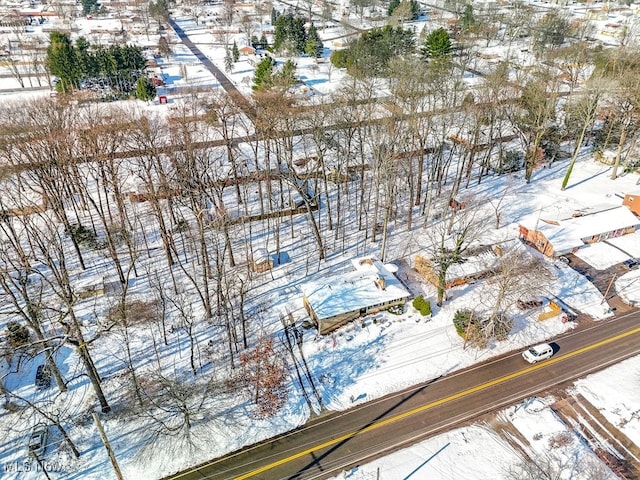 view of snowy aerial view