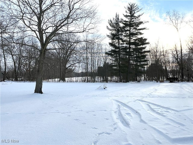 view of yard covered in snow