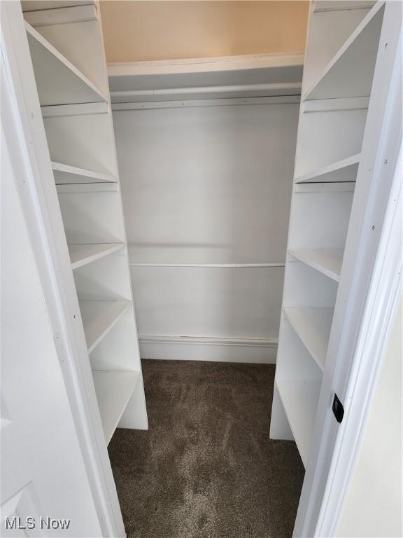 walk in closet with dark carpet