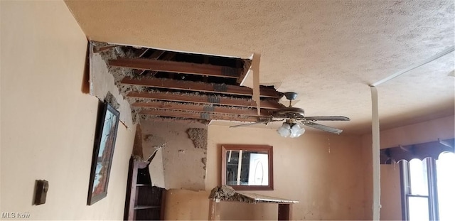 room details with ceiling fan and a textured ceiling