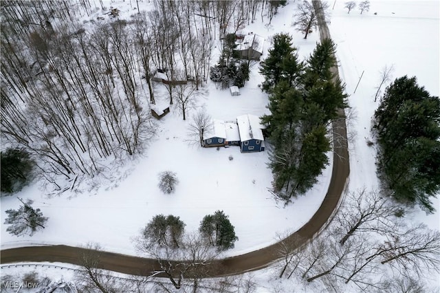 view of snowy aerial view