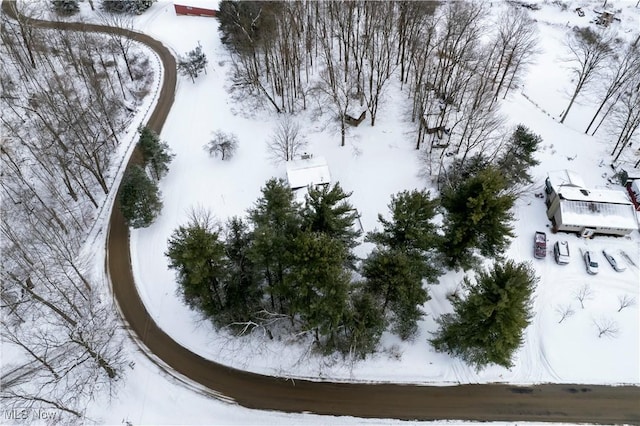 view of snowy aerial view