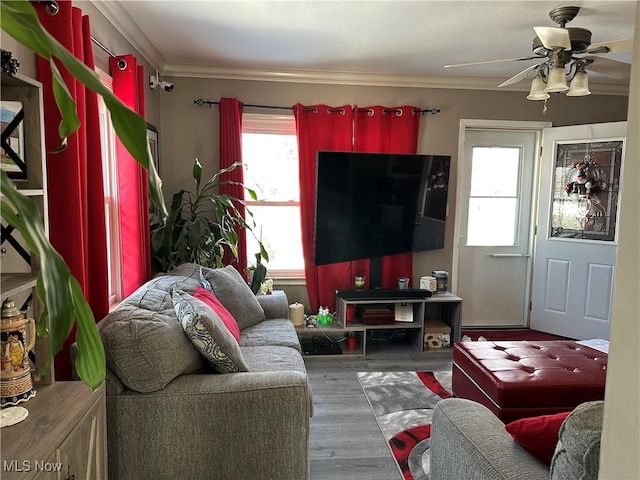 living room featuring hardwood / wood-style flooring, crown molding, a healthy amount of sunlight, and ceiling fan