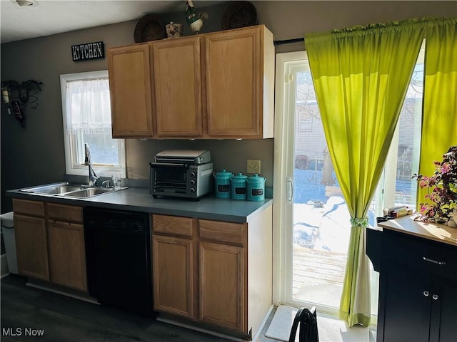 kitchen featuring sink, a wealth of natural light, and dishwasher