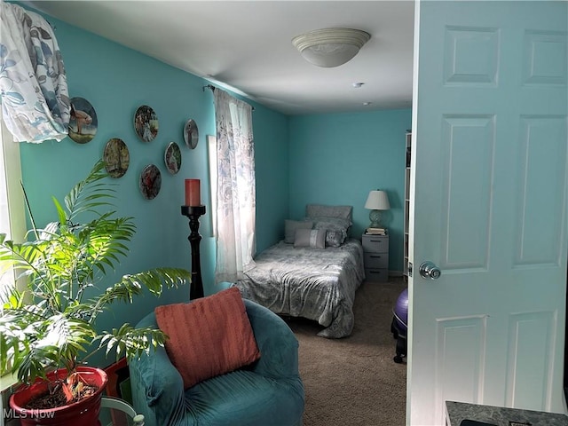 view of carpeted bedroom