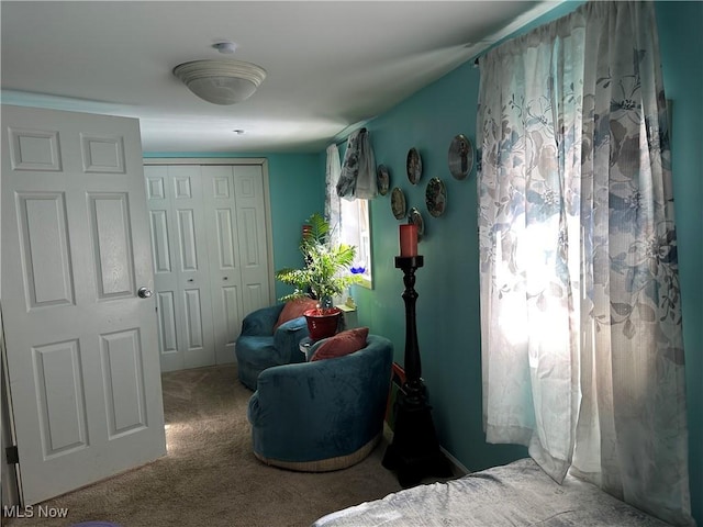 carpeted bedroom featuring a closet