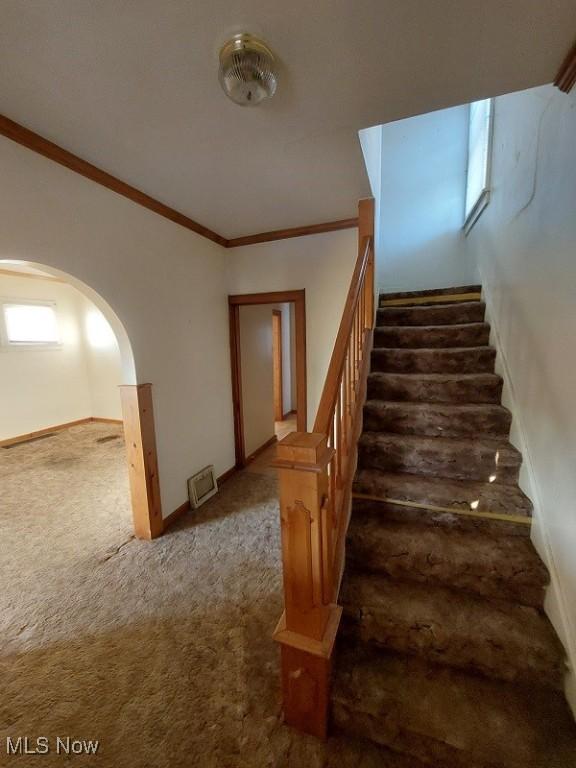 stairs featuring carpet floors and ornamental molding