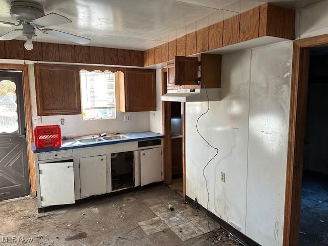 kitchen featuring ceiling fan, plenty of natural light, white dishwasher, and sink