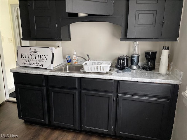 kitchen featuring dark wood-type flooring and sink