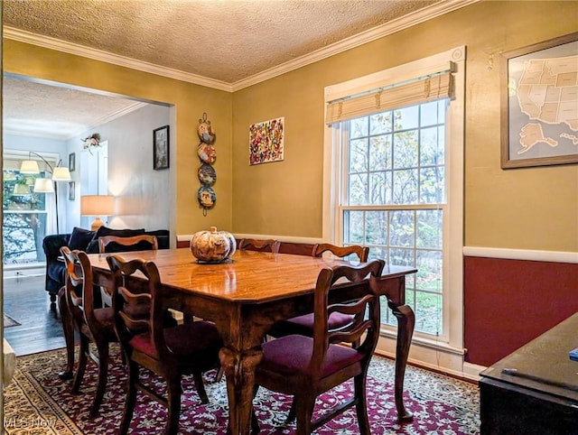 dining space featuring crown molding, a textured ceiling, and hardwood / wood-style flooring