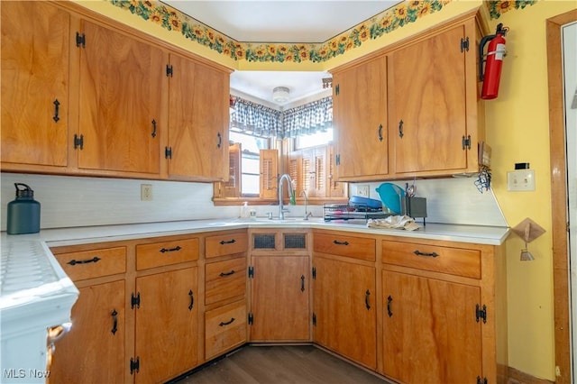 kitchen featuring sink and dark hardwood / wood-style floors