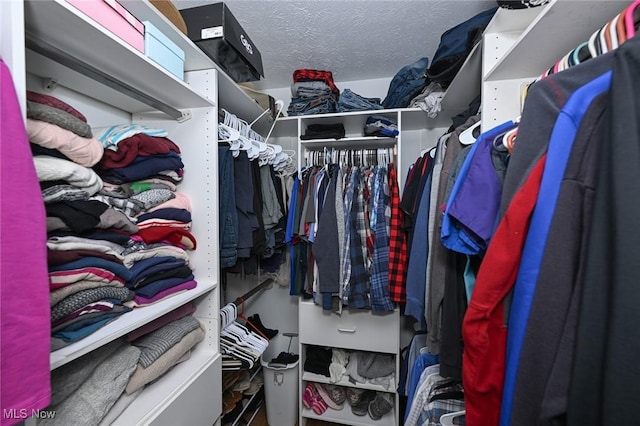 view of spacious closet