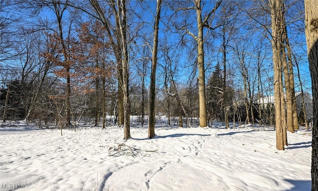 view of snowy yard