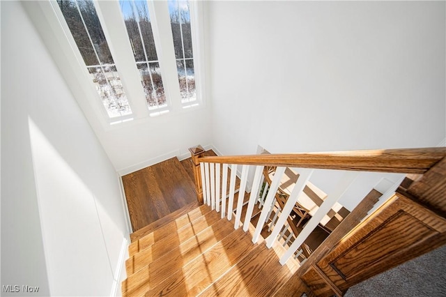 stairway featuring wood-type flooring