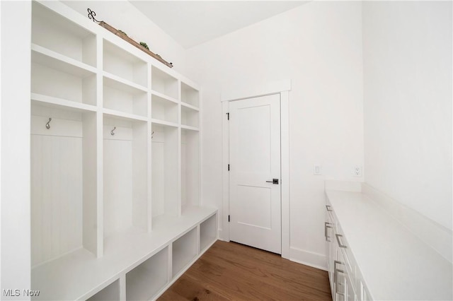 mudroom with dark wood-type flooring