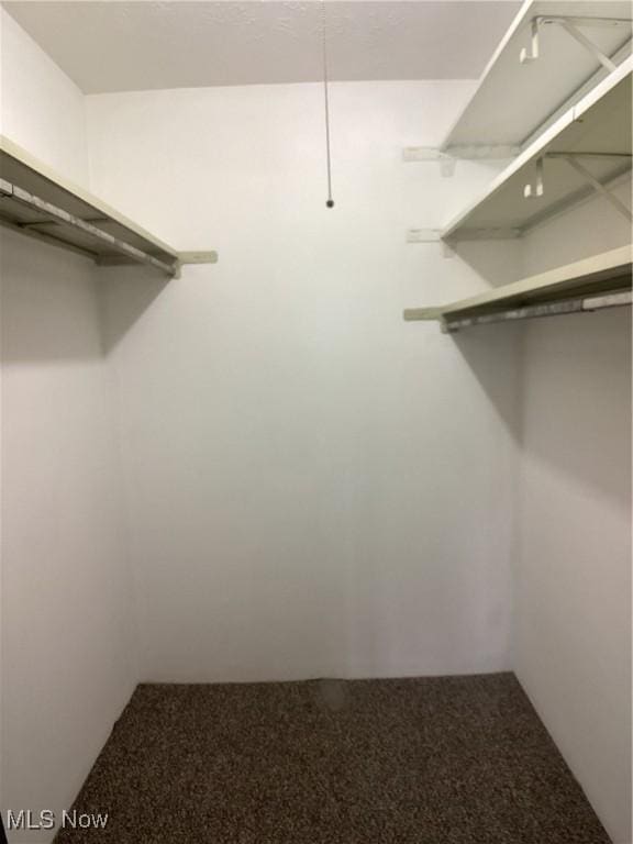 spacious closet with carpet flooring