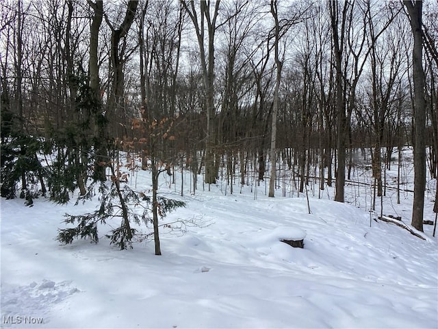 view of snowy yard