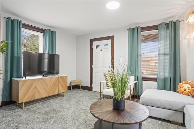 living room featuring carpet floors