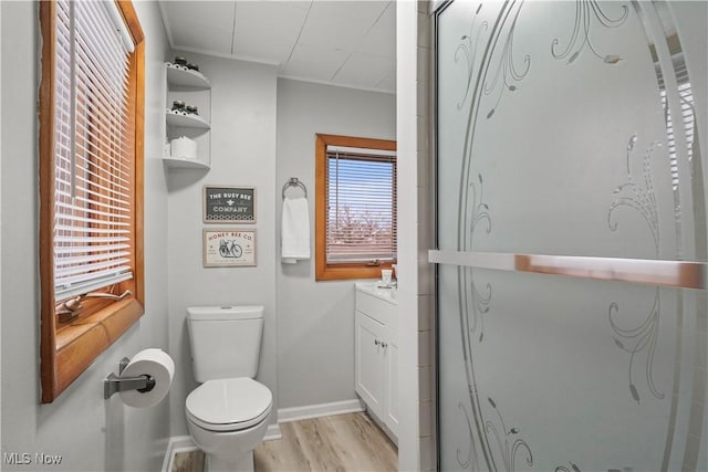 bathroom featuring vanity, hardwood / wood-style flooring, and toilet