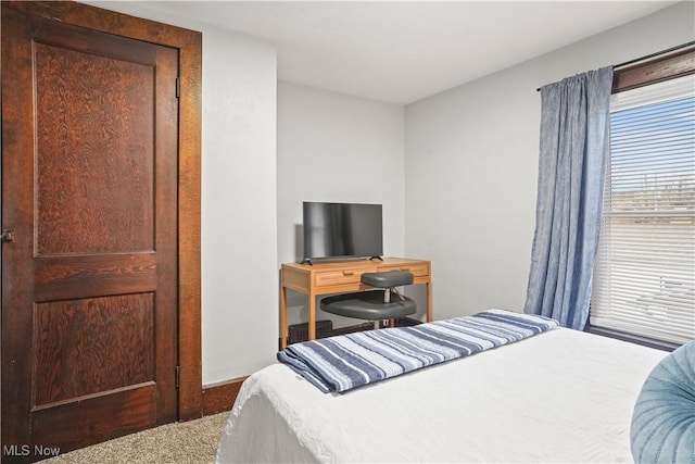 bedroom featuring carpet flooring